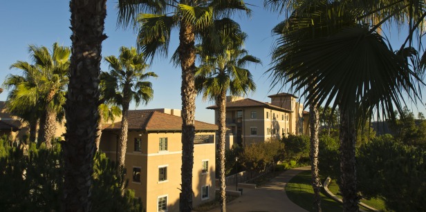 Residence halls with palm trees