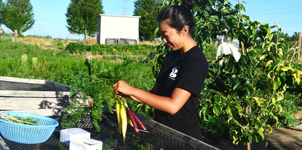 Student working at garden 