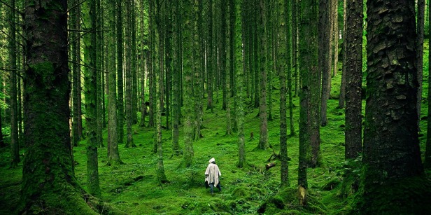 Robed person walking in forest of vibrantly green moss-covered trees