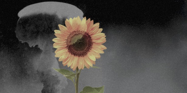 Sunflower overlaying a nuclear explosion