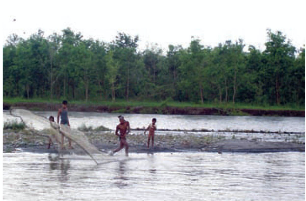 Botes and Majhis fishing in the Narayani River in CNP 