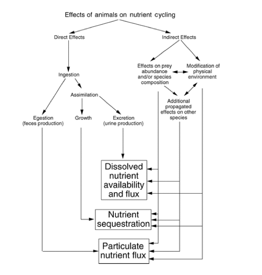 schematic diagram