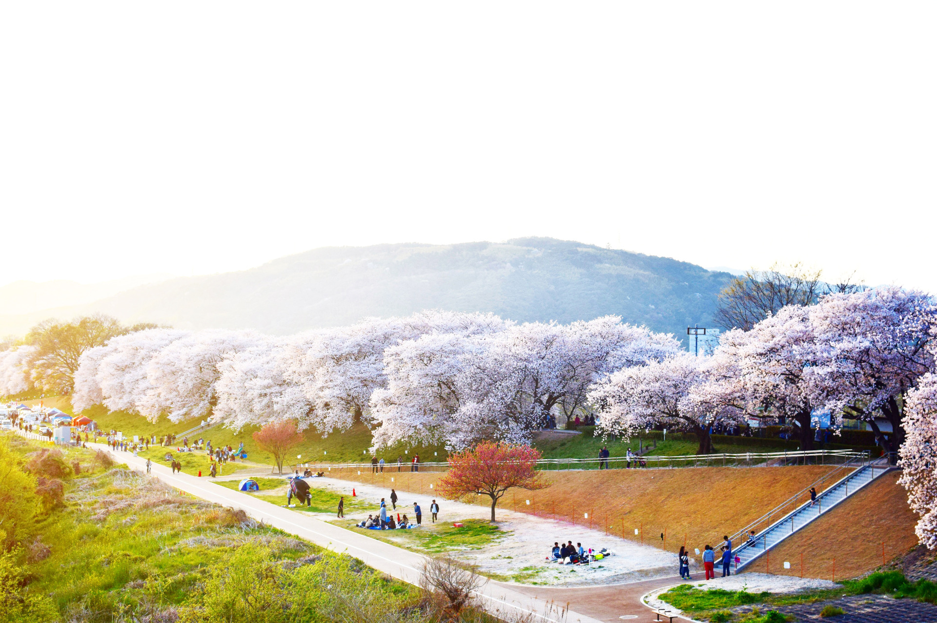 Panoramic view of scenery in Japan