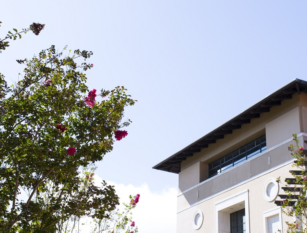 Image of the roof of the library with a tree in the foreground.