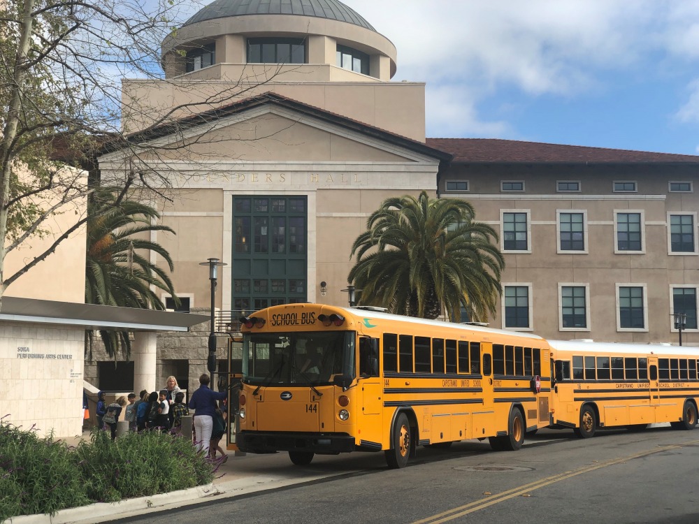 School busses lined up on road