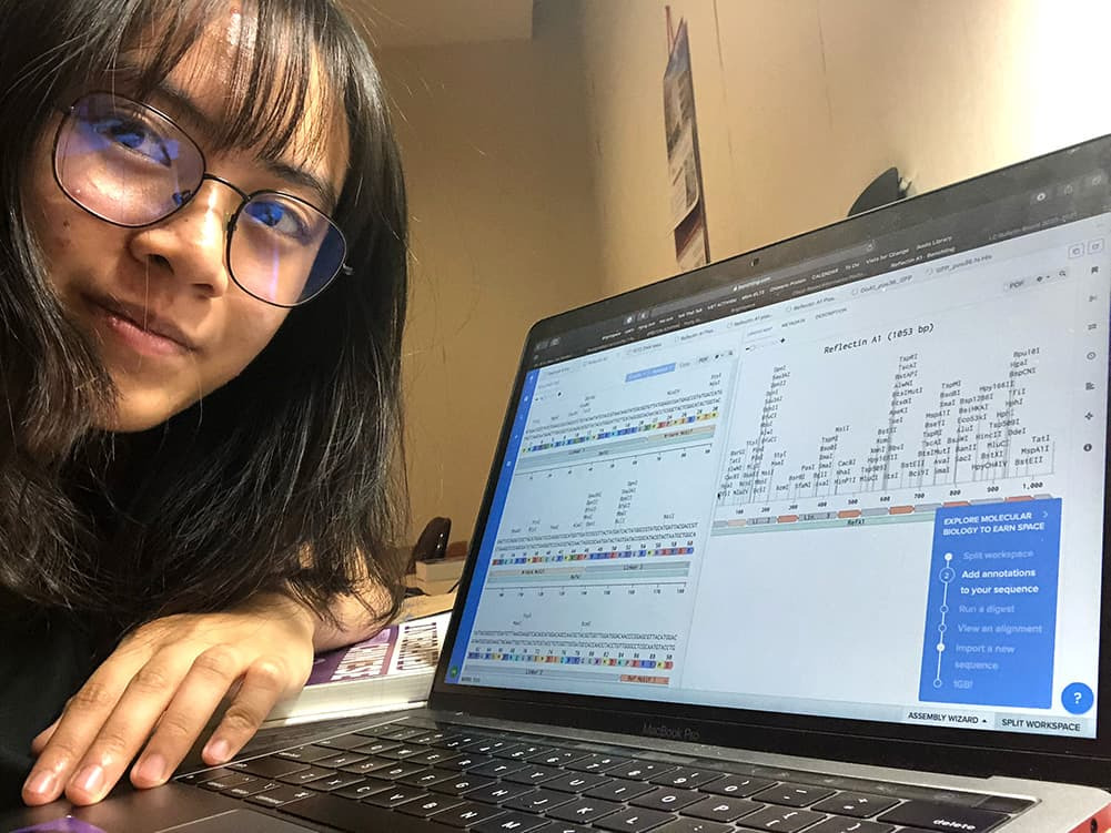 Student displays research on laptop