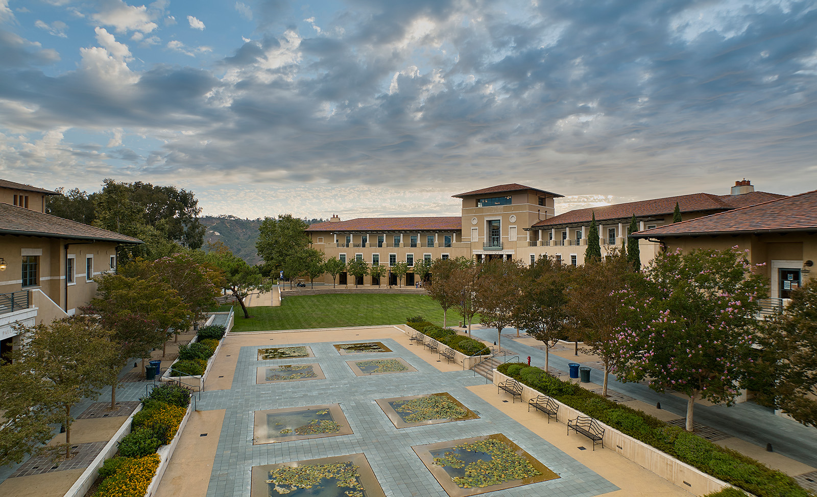 Aerial view of campus lily ponds with academic buildings in the background
