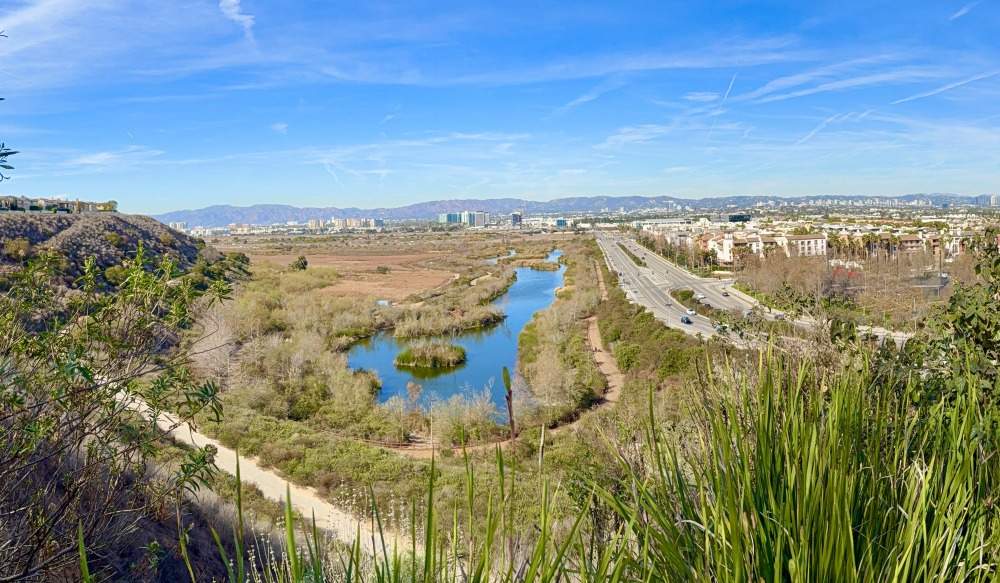 A wide shot of the Ballona Wetlands with green shrubbery in the foreground on a blue, clear sky day.
