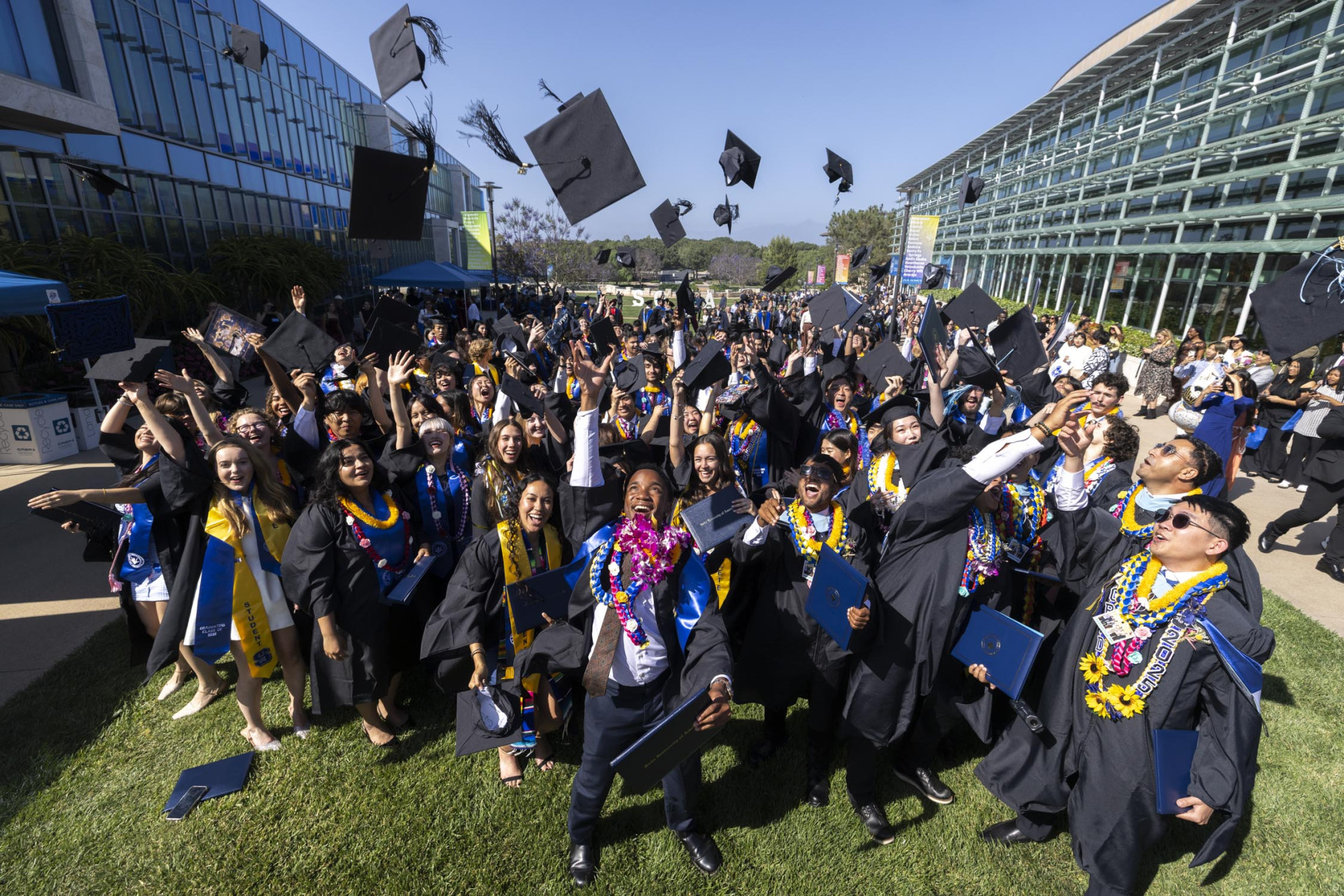 Students throwing graduation caps.