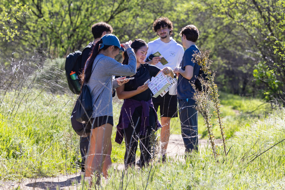 A group of students standing in a regional park, looking at a guidebook