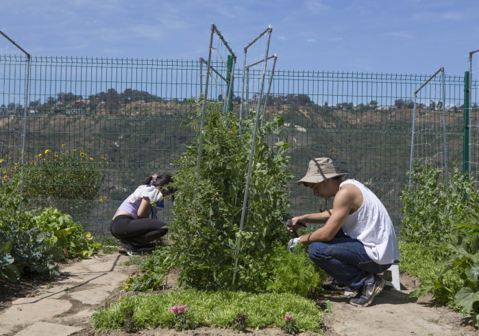 Image of students working in the SIG.