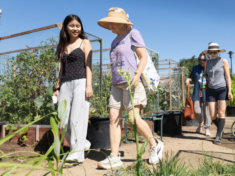Four people wearing casual attire walk on a dirt path through rows of gardening plots with a lot of greenery.