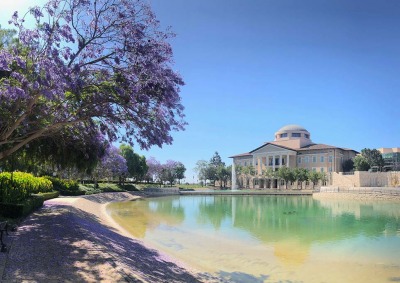 Peace Lake bounded by purple trees with Founders Hall in the background