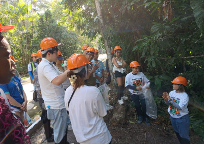 Members of the Amazon rainforest study tour wear orange hard hats and stand beneath tall trees while they learn about the rainforest.