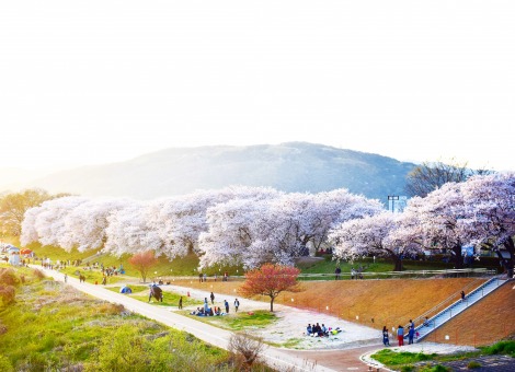 Panoramic view of scenery in Japan