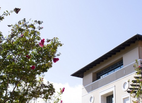 Image of the roof of the library with a tree in the foreground.