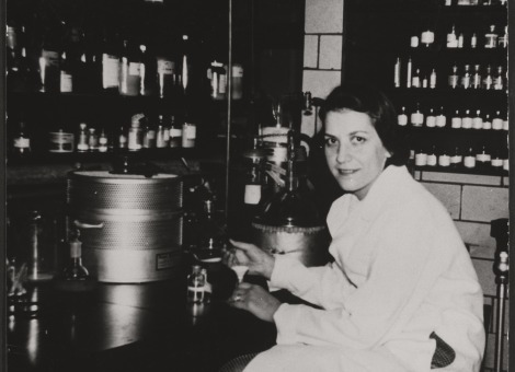 Evelyn Hodes Wilson Harvard Lab