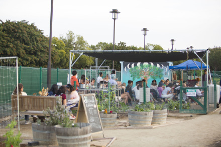 Image of student event in garden