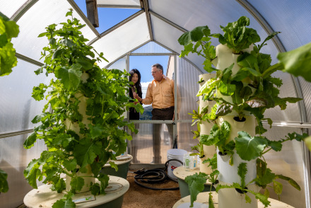 A man and a woman stand in the doorway of a greenhouse behind planters sprouting large, leafy green plants.
