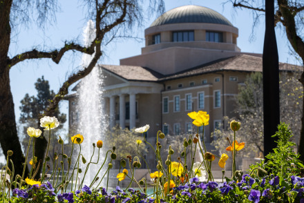founders' hall behind the yellow flowers