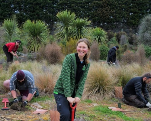 Environmental studies students working on a landscape project 