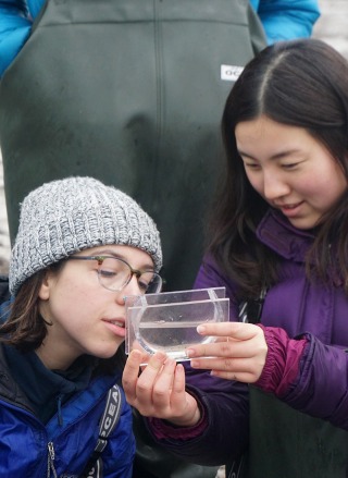 Students view sea water container