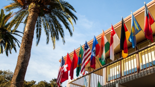 Various countries' flags line a second story balcony with a palm tree in the left of the frame.
