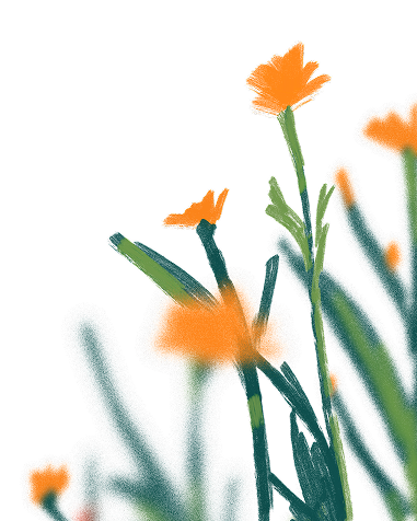 Flowers Orange